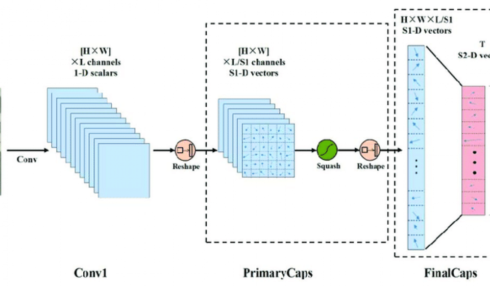 A-typical-CapsNet-architecture-A-typical-CapsNet-architecture