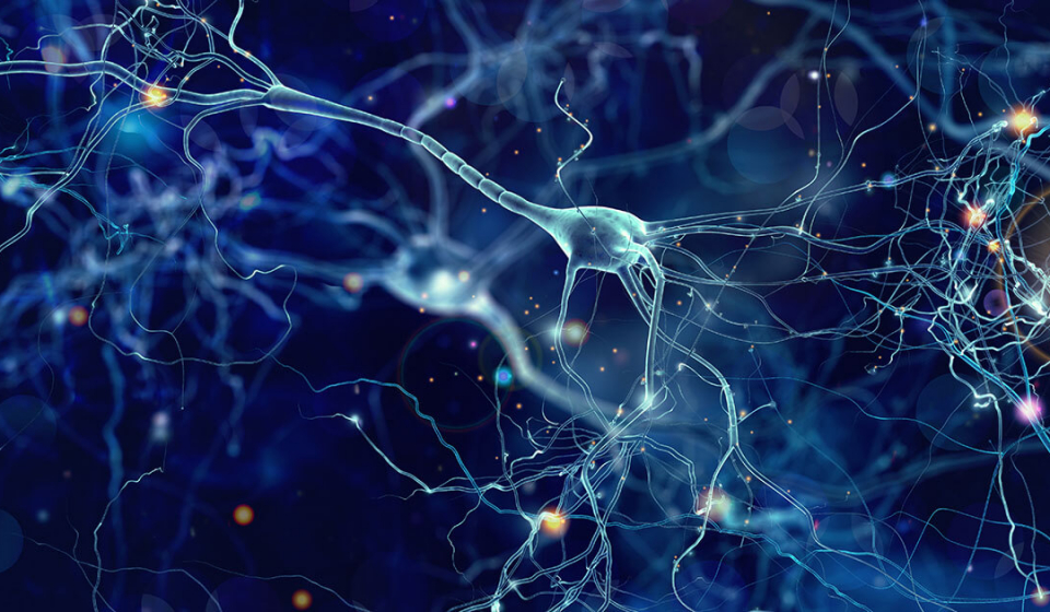 graph-neural-network